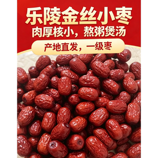 【新枣】乐陵金丝小枣1000g红枣熬汤煲粥包粽子有核特产一级小枣