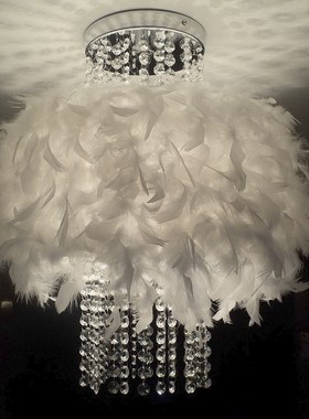 掌柜推荐女生调光调色店面创意浪漫网红K9水晶流苏吸顶卧室羽毛灯