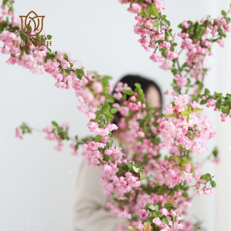 春季应季垂丝海棠花鲜切花水培植物净化空气木本花卉顺丰快递发货