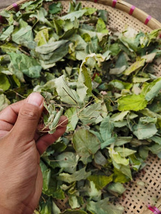 秦岭野生淫羊藿500g纯叶片带柄三枝九叶草中药材泡酒仙灵脾男士