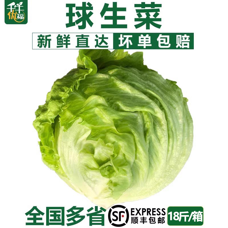 汉堡用球生菜18斤装 西餐新鲜蔬菜沙拉食材结球形圆型西生菜 包邮