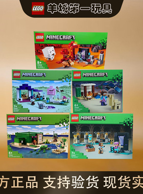 乐高21251/21252/21253/21254/21255我的世界拼搭积木玩具礼物