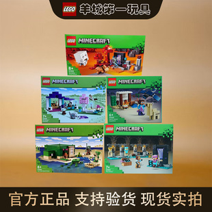 21255我 乐高21251 21254 21253 世界拼搭积木玩具礼物 21252