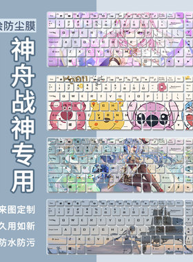适用神舟HASEE战神 TX9 G9 G10 G12 13代17.3寸笔记本电脑键盘膜