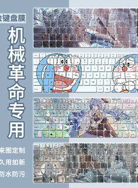 适用机械革命MECHREVO极光Pro/蛟龙5/极光Z 13代笔记本电脑键盘膜