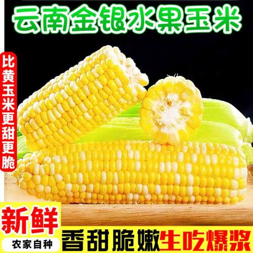 【云南金银水果玉米】爆浆脆甜