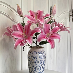 【粉红百合】东北鲜花辽宁朝阳凌源地产 粉色系香水百合 深浅随缘