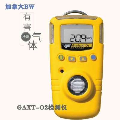 加拿大BW GAXT-H-DL-X-M-S-A-P-L-C-D-Z-E-V 便携式单一气体检测