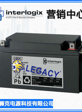 荷兰INTERLOGIX蓄电池BS133N 12V65AH 价格优惠