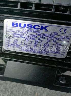 瑞典Busck三相电机