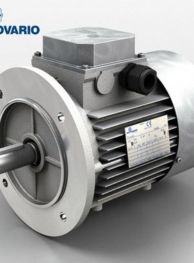 全新原装 意大利高品质摩铎利电机 MOTOVARIO减速电机 TS90L-4