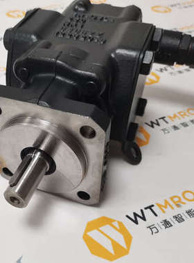 德国Rickmeier 齿轮泵  R35/63 FL-Z-DB16-W-SAE2-R  R35系列现货