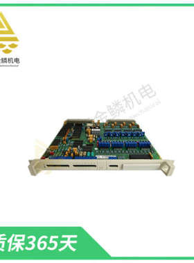 DS200DCFBG1B   紧凑型多功能模块