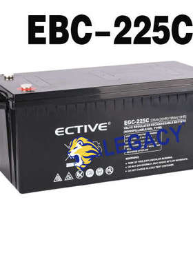 EBC-225C 德国ECTIVE蓄电池 12V225AH太阳能 直流屏 逆变器电池
