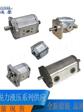 台湾REXPOWER锐力齿轮泵RGP-F310RN RGP-F312/316R-K4 F319LN-K4