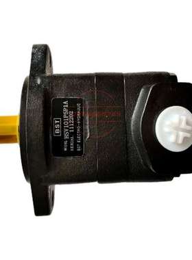 BST叶片泵HSV101P5P1A SV21S-100-63-1R01-C100 SV2-100-R02-C1