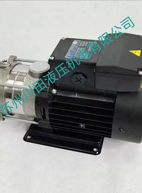 Luikar水泵LDPB1-22-TP  LDPB1-20-TP-30  LDPB1-20-TP-40