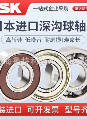 进口深沟球轴承NSK 6218 6219 6220 6222 6224 6228