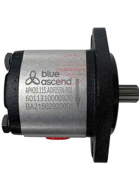 BLUEASCEND齿轮泵APH20.115.ADF05SN-P01 AP20.080.CGL701SN油泵
