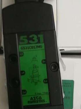 美国ASCO电磁阀 SCG531C017MS