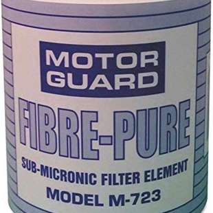 美国 等离子空气过滤器滤芯 Guard 723 Motor