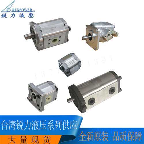 台湾REXPOWER锐力齿轮泵RGP-F319R-K4-C-L43 F319RN-K4 F323RN-K4