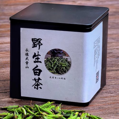云南大雪山野生古树白茶花蜜香