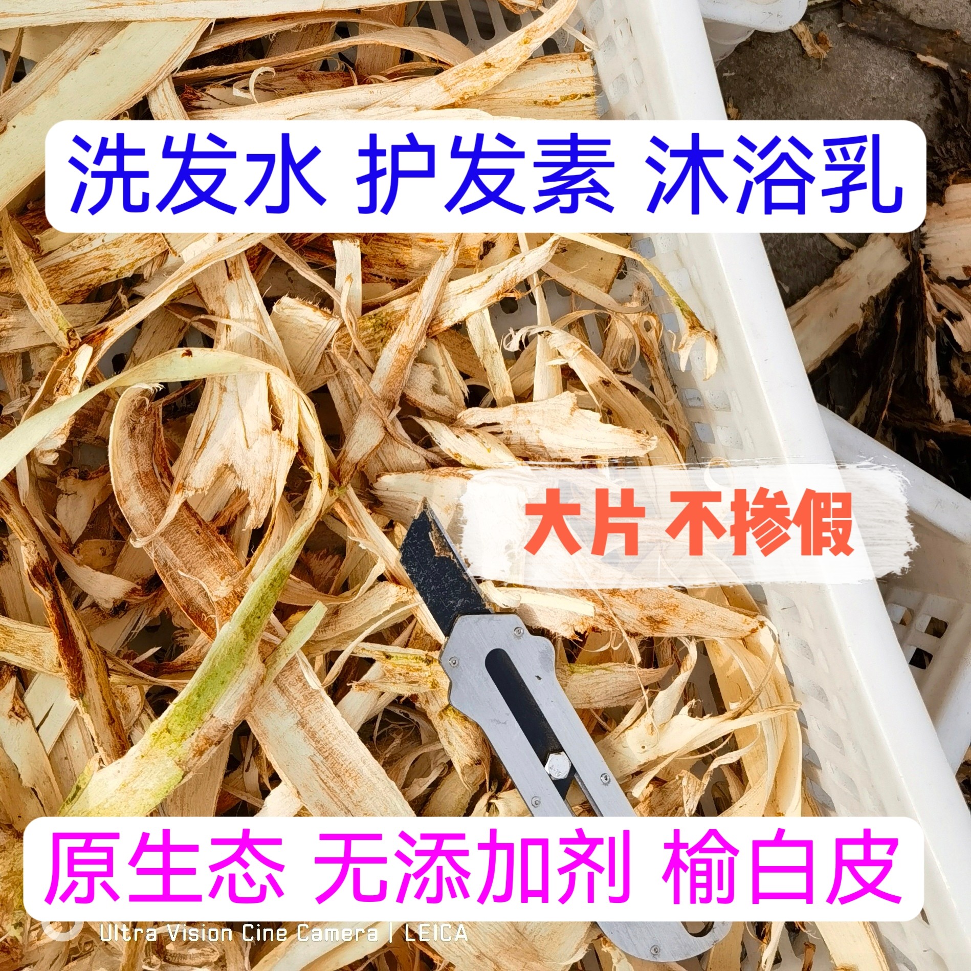 大片榆树皮中药材榆白皮500g去老皮新货天然增稠剂  榆白皮刨花