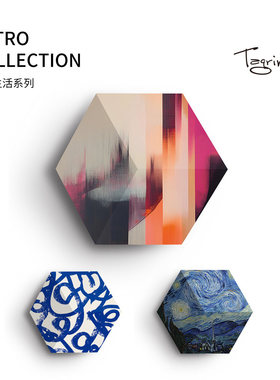 Tegrino音响面罩 shape音响专用bo beosound 现代趣味 梵高 艺术