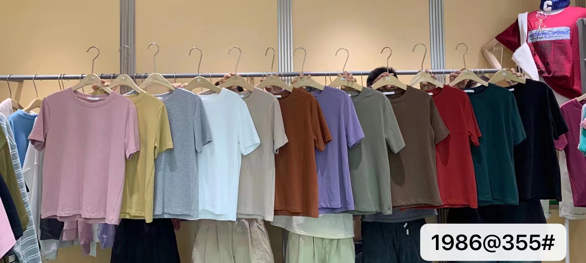 短袖休闲厚纯色磨毛女1986