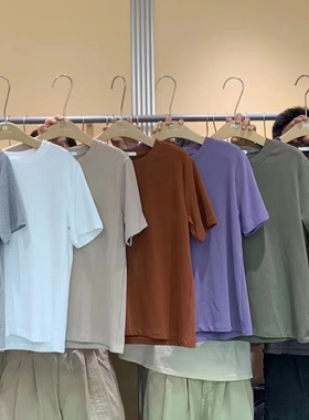 1986纯色磨毛厚T恤2024秋圆领时尚百搭休闲短袖韩版打底上衣355