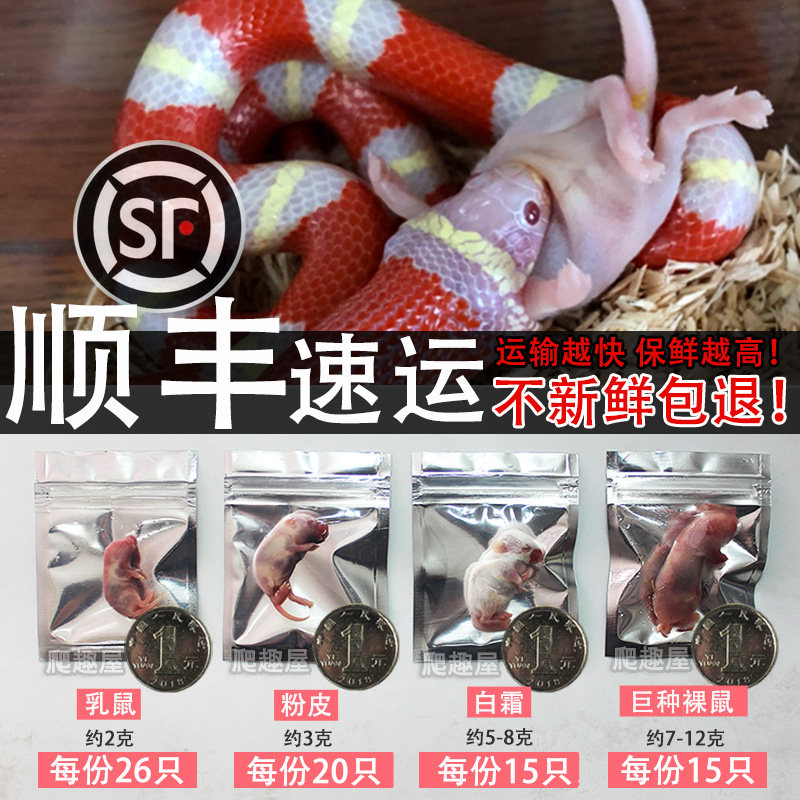 冰冻乳鼠爬虫食物宠物粮乌龟饲料活体小老鼠红皮冻干粉皮白霜裸鼠