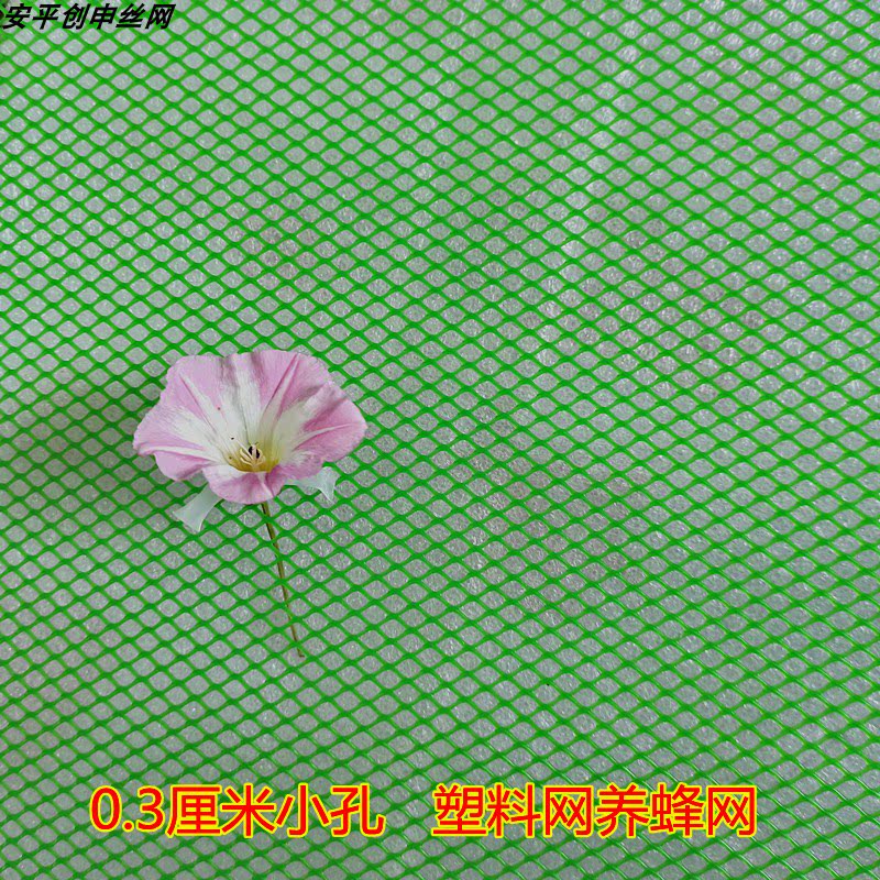 绿色0.3小孔养蜂塑料平网养殖胶网养鸡鸭鹅漏粪兔垫阳台防护防网