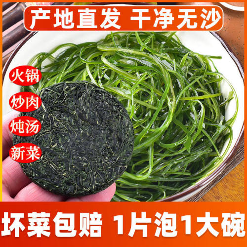 芊尹高品质压缩海带丝22g/包