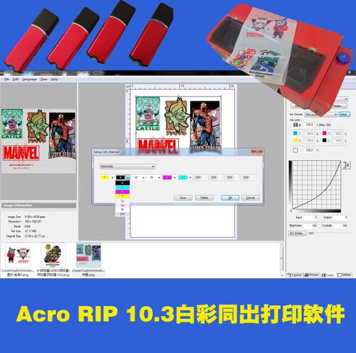 ACRO RIP10.5 White and color Zupgrade software with Lock key
