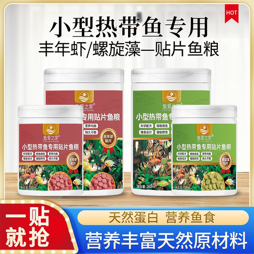 小型观赏鱼灯科鱼专用贴片鱼粮