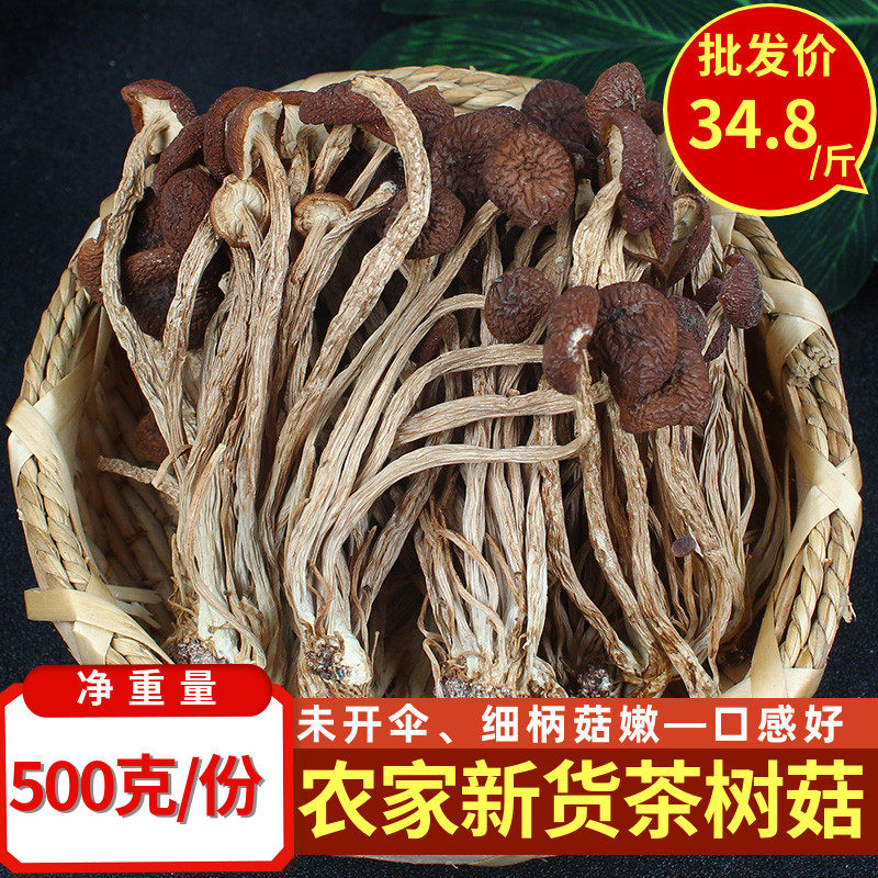 农家茶树菇500克包邮干货无熏制新鲜菌类树菇不开伞煲汤炖菜