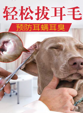 乐比不锈钢狗狗拔耳毛钳止血钳直