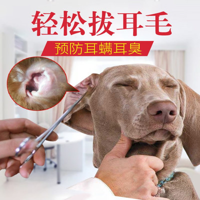 乐比不锈钢狗狗拔耳毛钳止血钳直