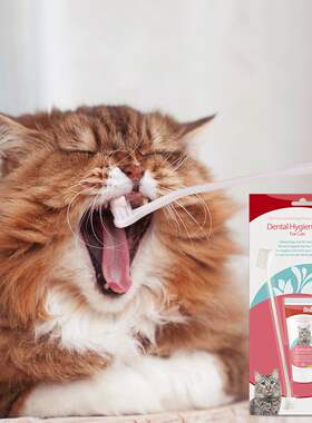 Bioline斑澜猫咪牙膏清洁牙宠物猫狗专用牙膏清牙垢除口臭可食用