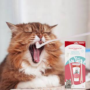 Bioline斑澜猫咪牙膏清洁牙宠物猫狗专用牙膏清牙垢除口臭可食用