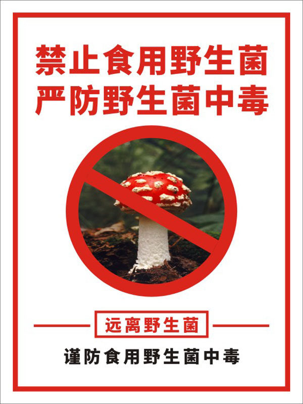 m769禁止采食用野生菌严防野生菌类中毒标示牌警示牌1871海报印制