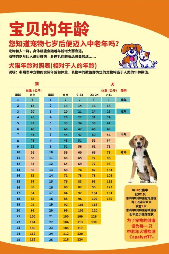 m771宠物医院动物犬猫年龄对照表宣传墙上挂贴图海报定印制展板8