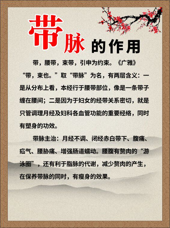 m769美容养生馆带脉的作用功效果好处墙上挂贴图展板海报印制2238