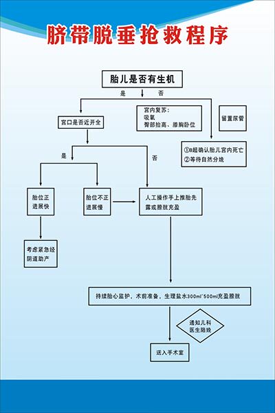 m771妇幼医院脐带脱垂抢救程序流程图海报印制喷绘写真kt展板1135
