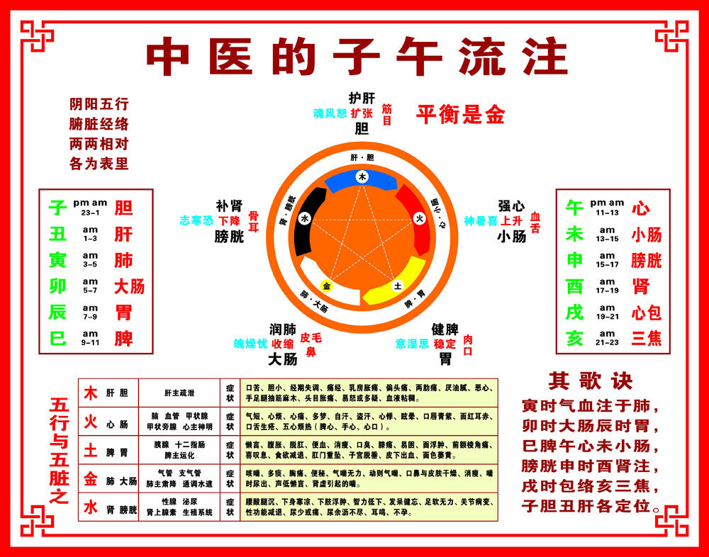 m768中医养生子午流注五行与五脏683装饰画写真海报印制展板喷绘