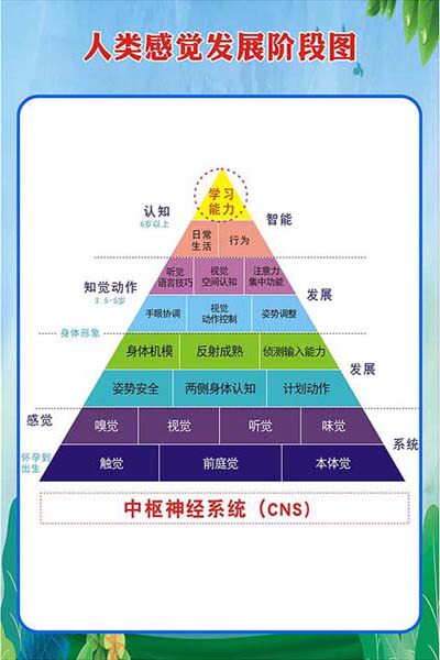 m769婴幼儿童人类感觉统发展阶段图早教中心贴画展板海报印制2664