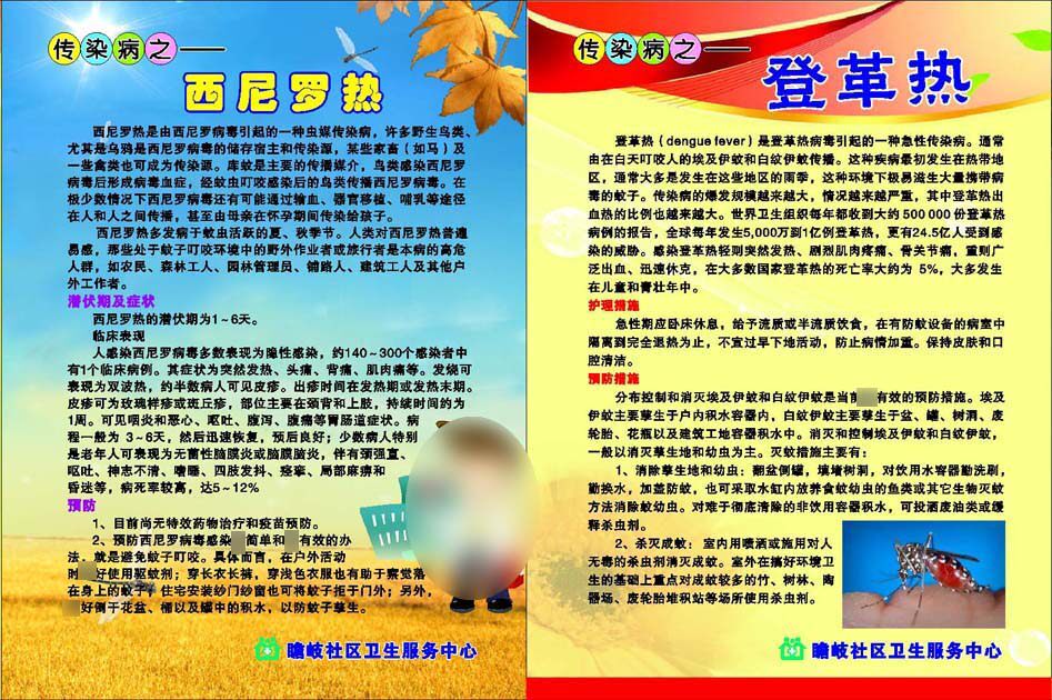 645海报印制展板209社区卫生服务中心传染病之西尼罗热登革热