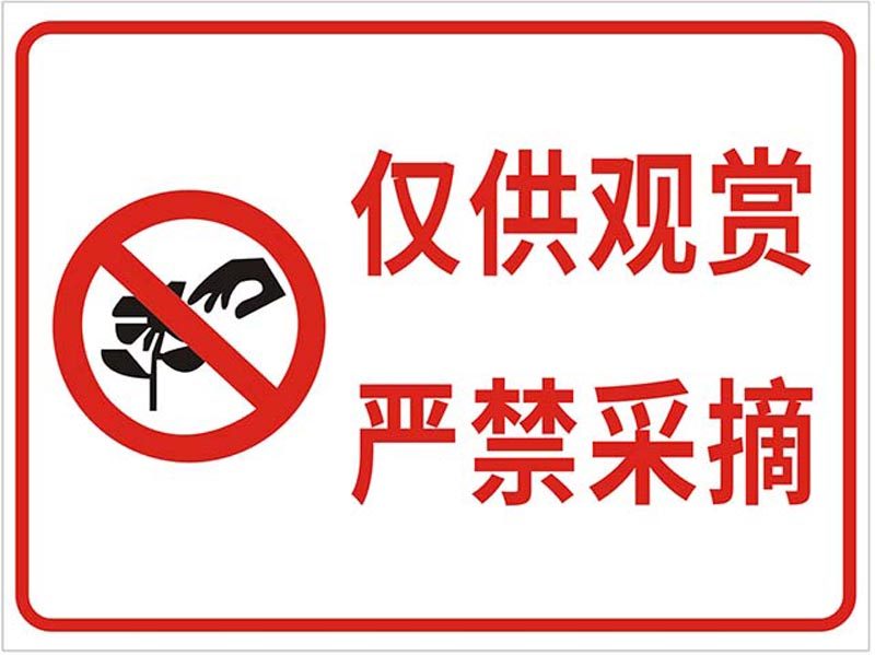 m769仅供观赏严禁采摘提警示牌标识告示贴1501kt展板喷绘海报印制