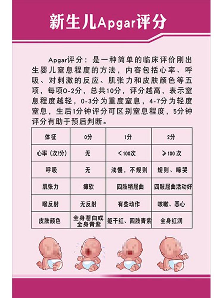 m771儿科新生儿apgar评分管理制度贴纸挂图海报定印制kt展板2112
